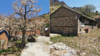中景恒基集團受邀前往北京市平谷區(qū)核桃洼村就鄉(xiāng)村振興合作項目進行實地考察