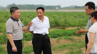 集團監事會主席肖厚志一行蒞臨“中景農科公司”審計、檢查、指導工作