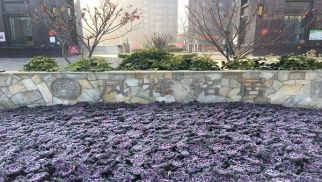 鳳祥銘居二期順利交房，業主喜獲新居